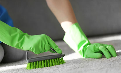 Evde Kuru Halı Temizliği Nasıl Yapılır?