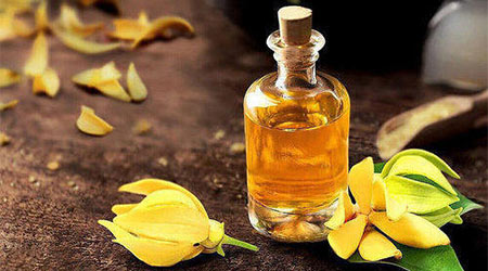 ylang-ylang-yagi bitkisel ucucu yaglar ylang ylang yagi